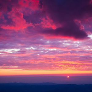 Meet your Posher, Katrina